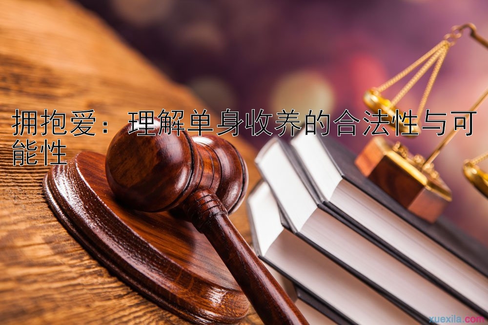 拥抱爱：理解单身收养的合法性与可能性