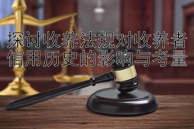 探讨收养法规对收养者信用历史的影响与考量