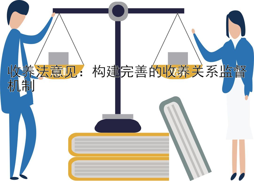 收养法意见：构建完善的收养关系监督机制