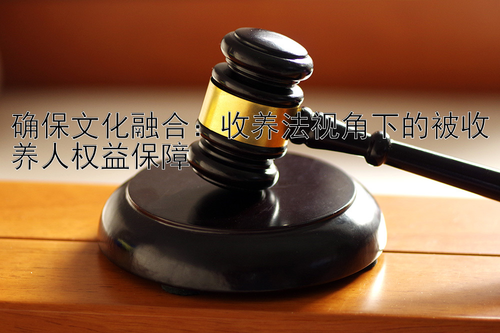 确保文化融合：收养法视角下的被收养人权益保障