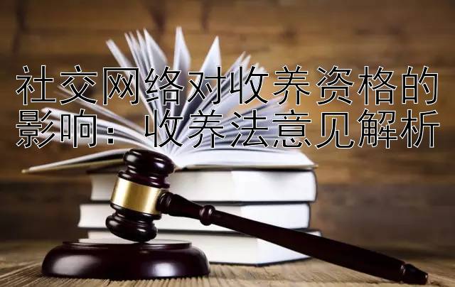 社交网络对收养资格的影响：收养法意见解析