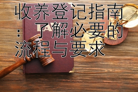 收养登记指南：了解必要的流程与要求