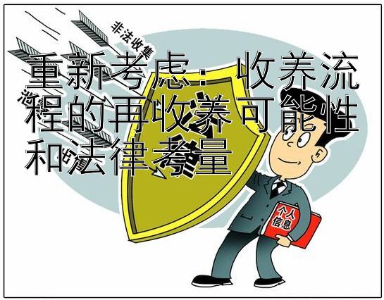 重新考虑：收养流程的再收养可能性和法律考量