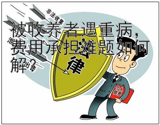 被收养者遇重病，费用承担难题如何解？