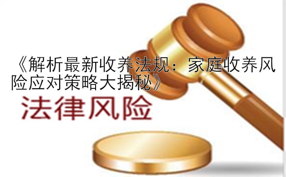 《解析最新收养法规：家庭收养风险应对策略大揭秘》