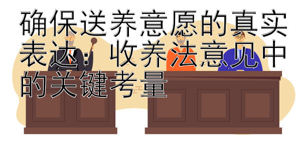 确保送养意愿的真实表达：收养法意见中的关键考量