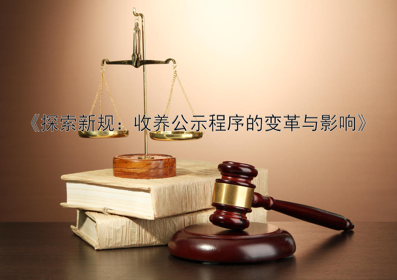 《探索新规：收养公示程序的变革与影响》