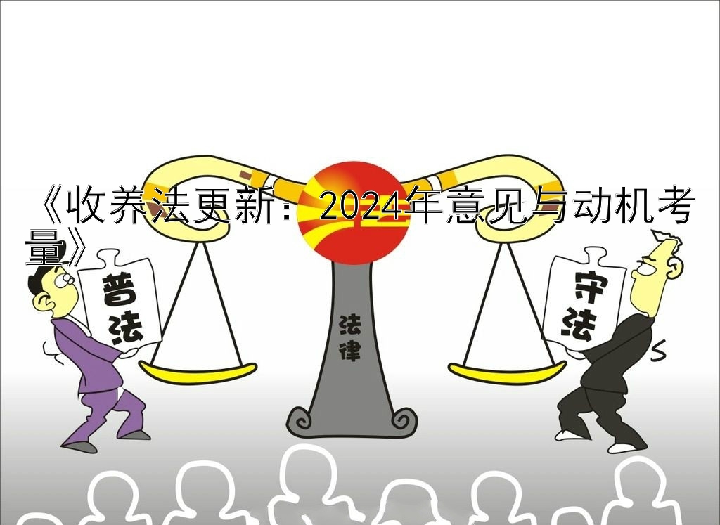 《收养法更新：2024年意见与动机考量》