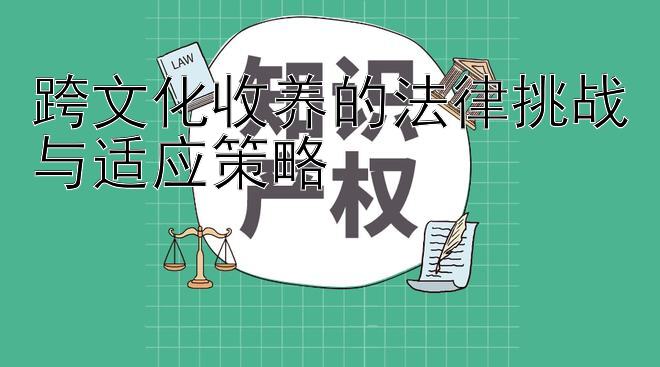 跨文化收养的法律挑战与适应策略