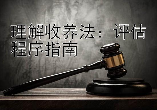 理解收养法：评估程序指南