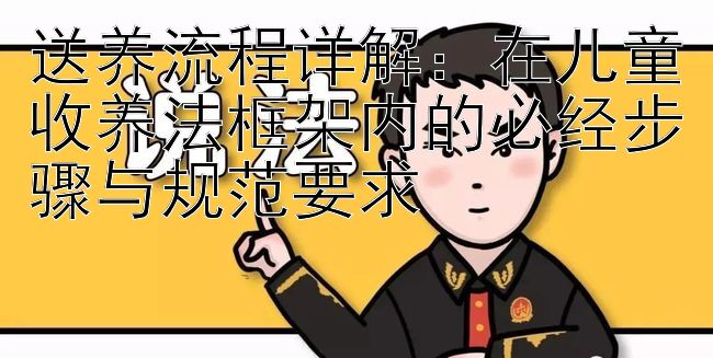 送养流程详解：在儿童收养法框架内的必经步骤与规范要求