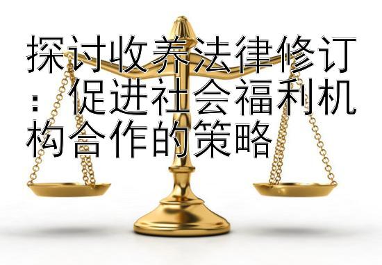 探讨收养法律修订：促进社会福利机构合作的策略