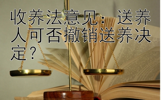 收养法意见：送养人可否撤销送养决定？