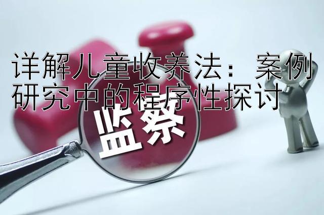 详解儿童收养法：案例研究中的程序性探讨