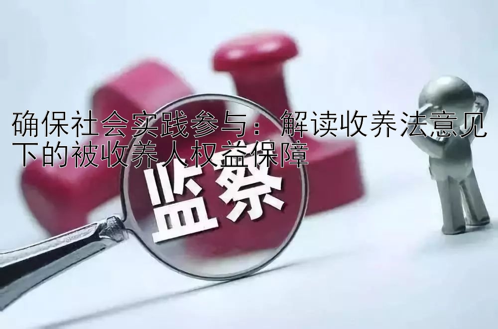 确保社会实践参与：解读收养法意见下的被收养人权益保障