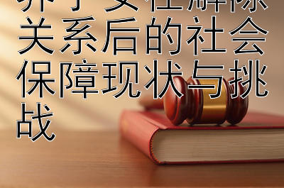 养子女在解除关系后的社会保障现状与挑战