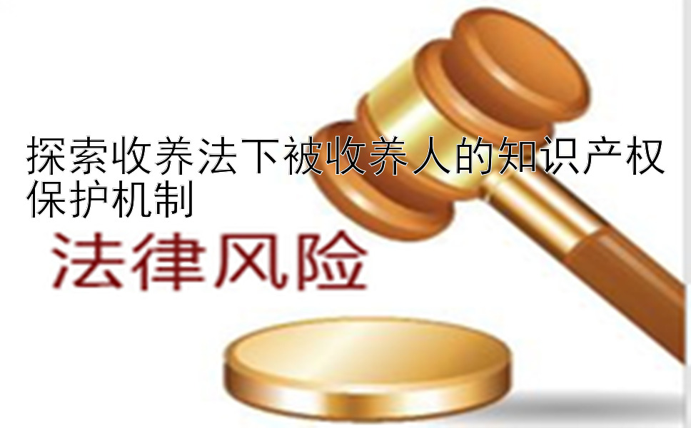 探索收养法下被收养人的知识产权保护机制