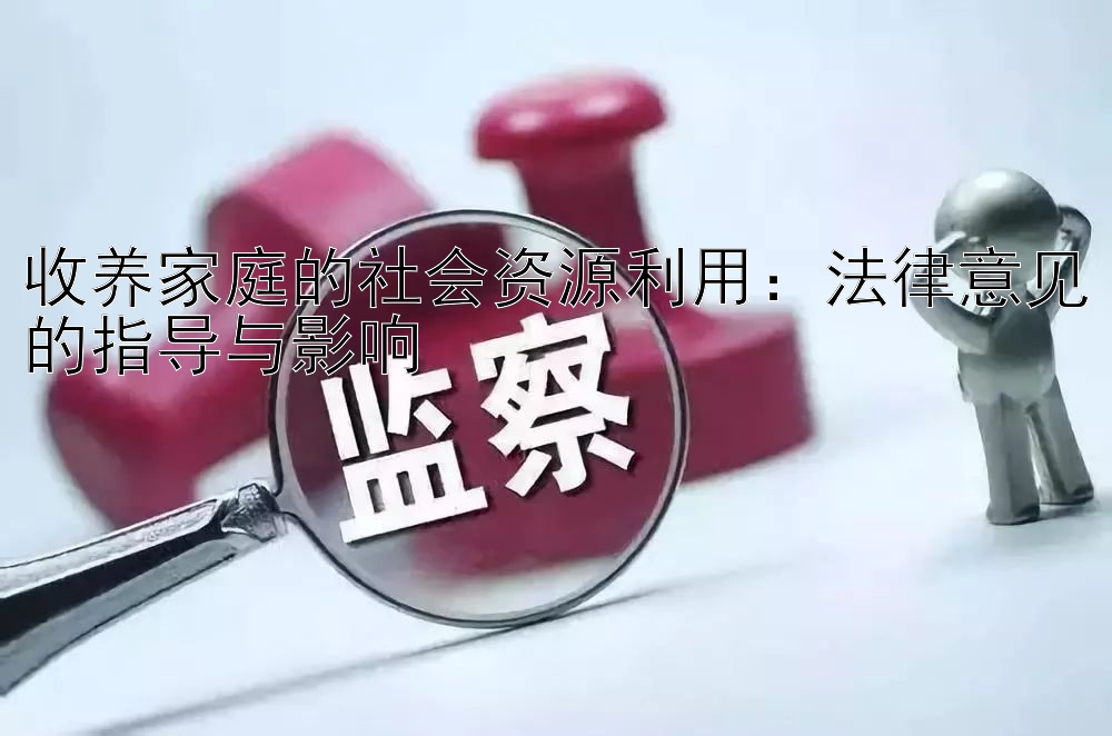 收养家庭的社会资源利用：法律意见的指导与影响