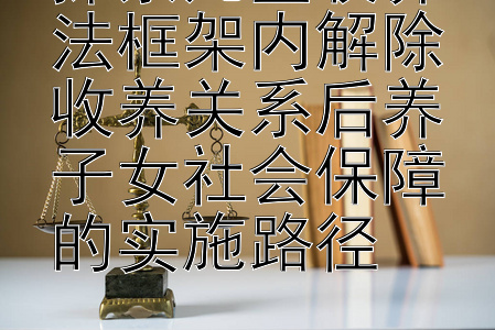 探索儿童收养法框架内解除收养关系后养子女社会保障的实施路径