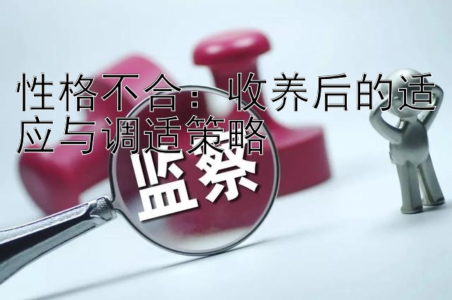 性格不合：收养后的适应与调适策略