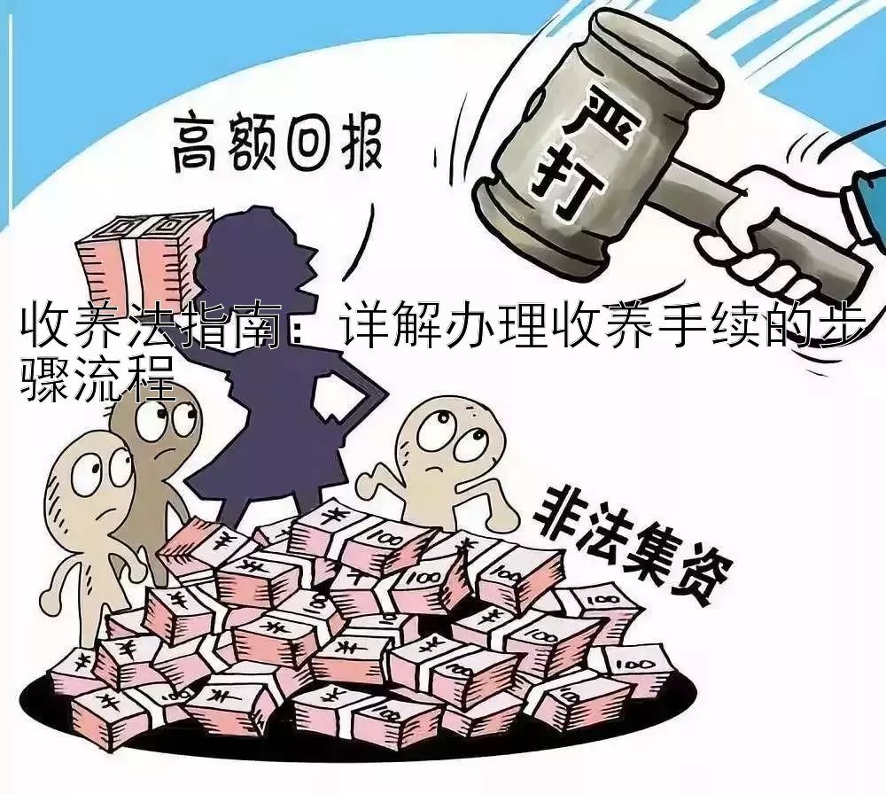 收养法指南：详解办理收养手续的步骤流程