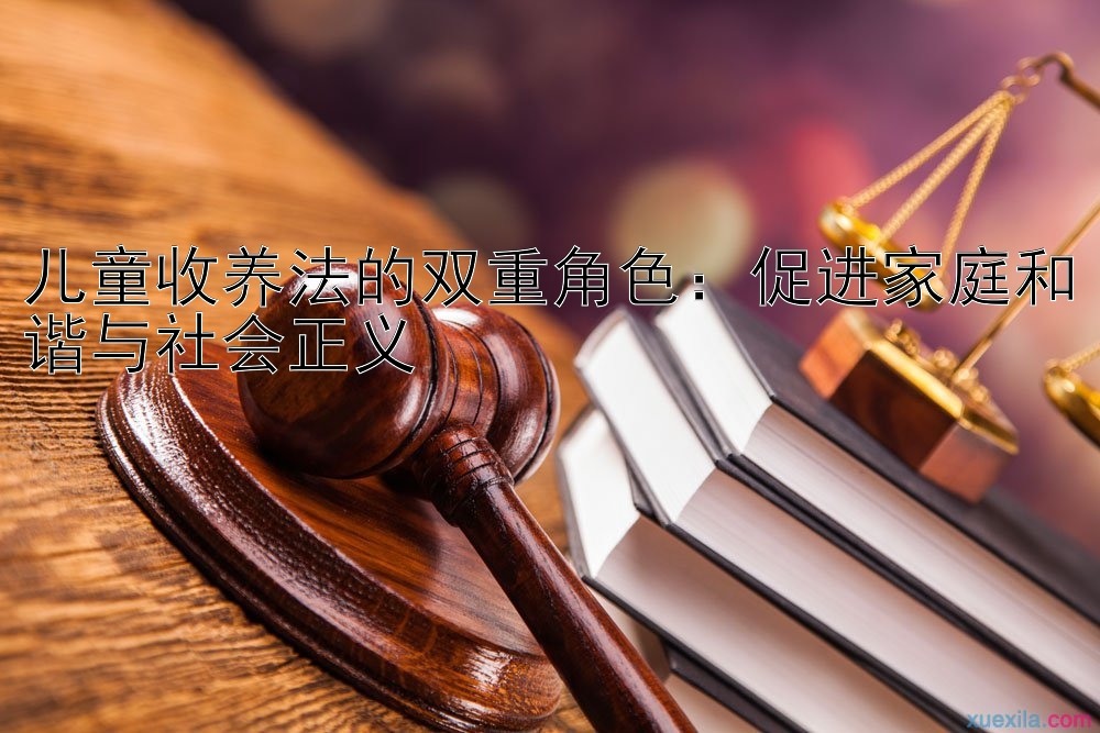 儿童收养法的双重角色：促进家庭和谐与社会正义