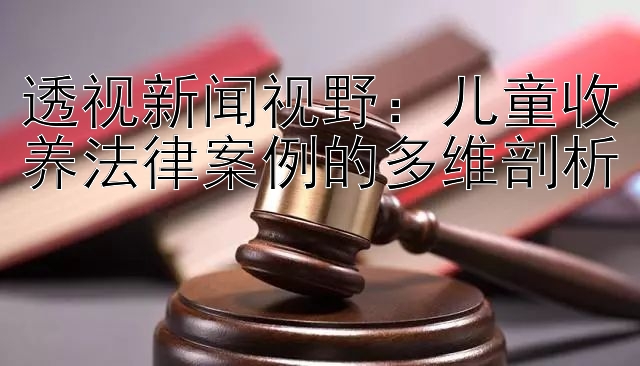 透视新闻视野：儿童收养法律案例的多维剖析