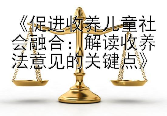 《促进收养儿童社会融合：解读收养法意见的关键点》