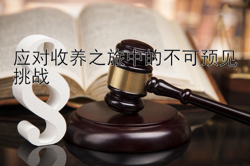 应对收养之旅中的不可预见挑战