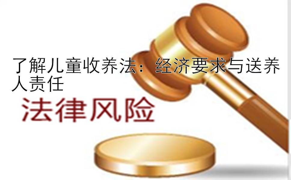 了解儿童收养法：经济要求与送养人责任