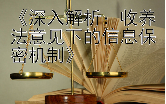 《深入解析：收养法意见下的信息保密机制》