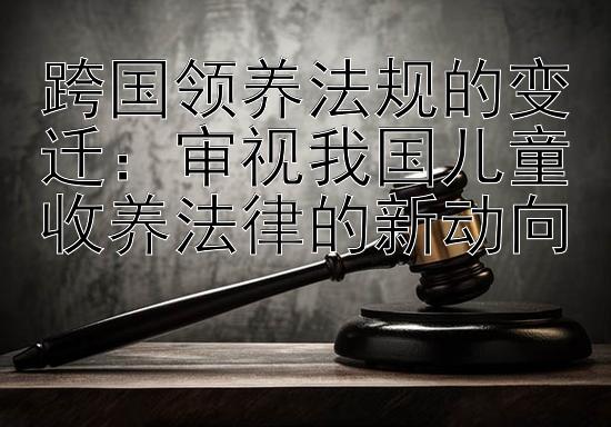 跨国领养法规的变迁：审视我国儿童收养法律的新动向