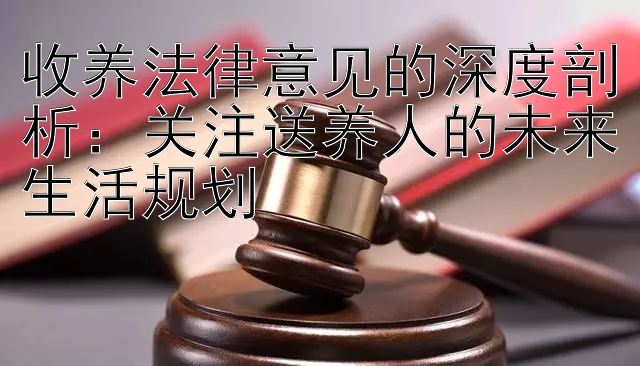 收养法律意见的深度剖析：关注送养人的未来生活规划