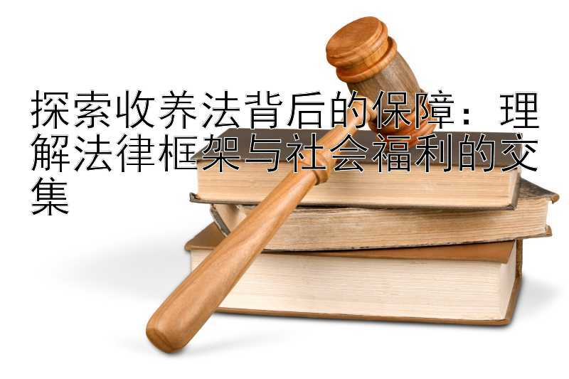 探索收养法背后的保障：理解法律框架与社会福利的交集