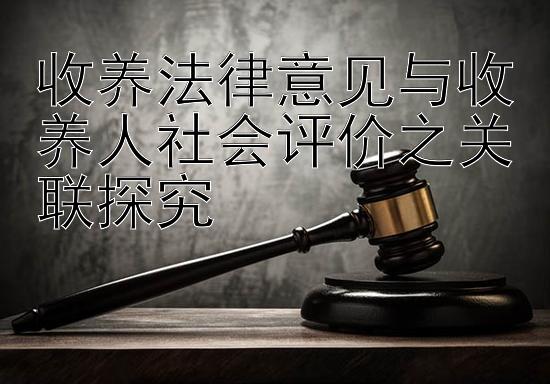 收养法律意见与收养人社会评价之关联探究