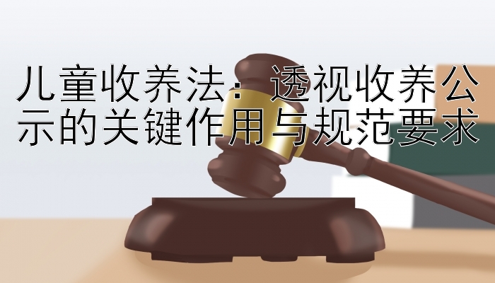 儿童收养法：透视收养公示的关键作用与规范要求