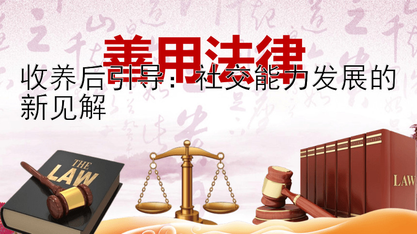 收养后引导：社交能力发展的新见解