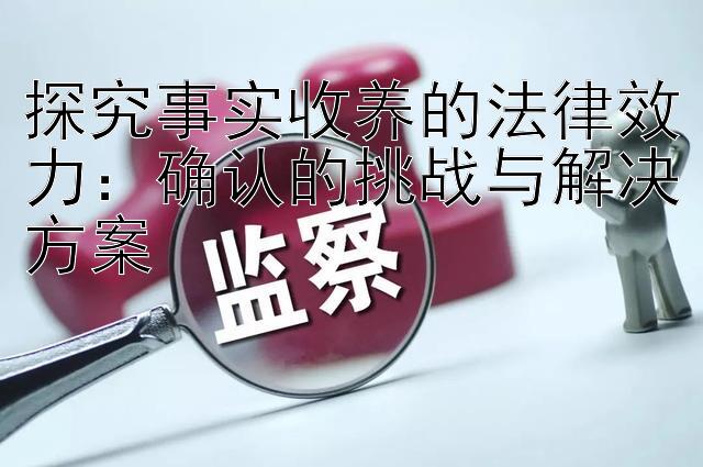 探究事实收养的法律效力：确认的挑战与解决方案