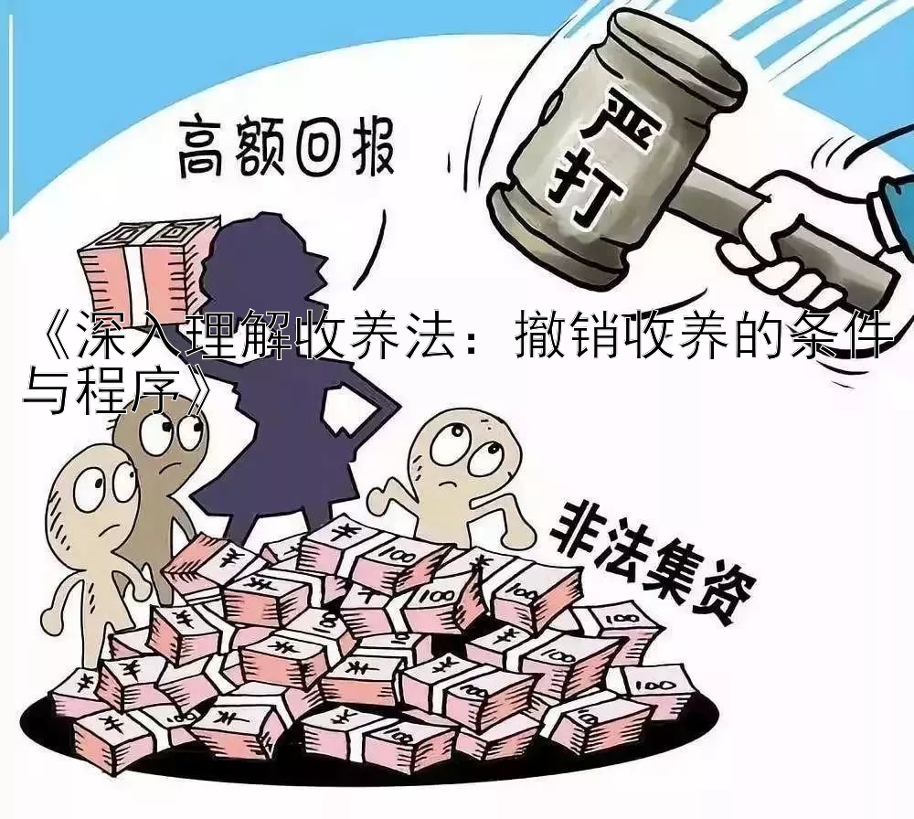 《深入理解收养法：撤销收养的条件与程序》