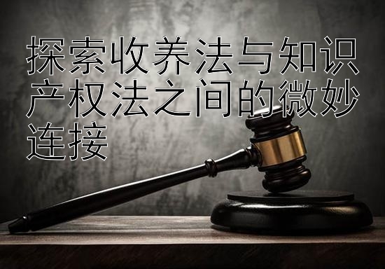 探索收养法与知识产权法之间的微妙连接