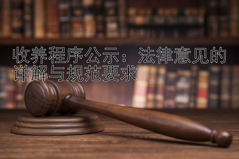 收养程序公示：法律意见的详解与规范要求