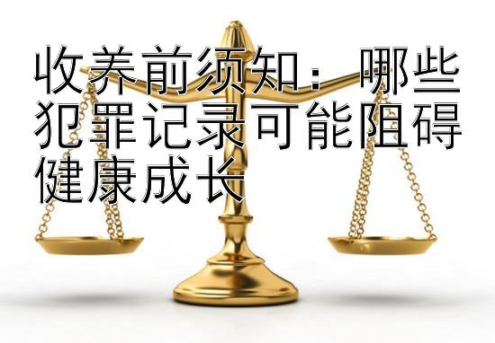 收养前须知：哪些犯罪记录可能阻碍健康成长