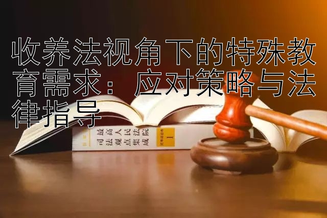 收养法视角下的特殊教育需求：应对策略与法律指导