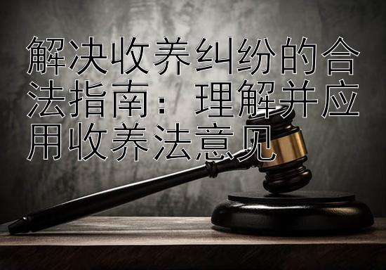 解决收养纠纷的合法指南：理解并应用收养法意见