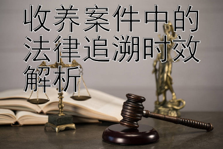 收养案件中的法律追溯时效解析