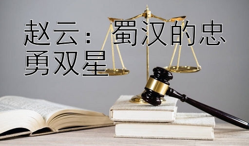 赵云：蜀汉的忠勇双星