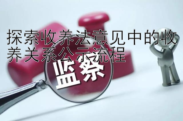 探索收养法意见中的收养关系公示流程