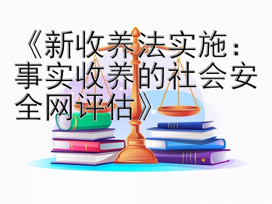 《新收养法实施：事实收养的社会安全网评估》