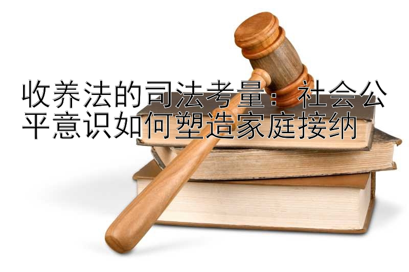 收养法的司法考量：社会公平意识如何塑造家庭接纳