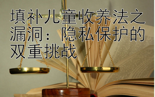 填补儿童收养法之漏洞：隐私保护的双重挑战